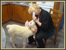 Feeding time