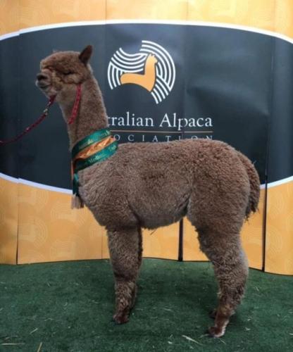Yenaminut Lunar Light